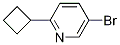 5-broMo-2-cyclobutylpyridine CAS#: 1159815-16-3