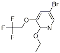 5-broMo-2-ethoxy-3-(2,2,2-trifluoroethoxy)pyridine CAS#: 1241752-46-4