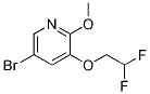 5-broMo-3-(2,2-difluoroethoxy)-2-Methoxypyridine CAS#: 1241752-42-0