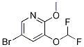 5-broMo-3-(difluoroMethoxy)-2-Methoxypyridine CAS#: 1241752-50-0