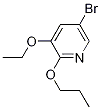 5-broMo-3-ethoxy-2-propoxypyridine CAS#: 1241752-37-3