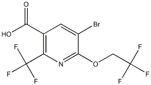 5-broMo-6-(2,2,2-trifluoroethoxy)-2-(trifluoroMethyl)nicotinic acid CAS#: 1188926-14-8