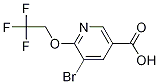 5-broMo-6-(2,2,2-trifluoroethoxy)nicotinic acid CAS#: 1211586-75-2