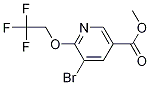 5-broMo-6-(2,2,2-trifluoroethoxy)nicotinic acid Methyl ester CAS#: 1211589-51-3
