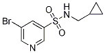 5-broMo-N-(cyclopropylMethyl)pyridine-3-sulfonaMide CAS#: 1251249-03-2