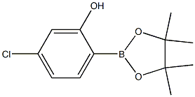 5-chloro-2-(4,4,5,5-tetramethyl-1,3,2-dioxaborolan-2-yl)phenol CAS#: 1377503-12-2