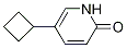 5-cyclobutylpyridin-2(1H)-one CAS#: 1159818-55-9