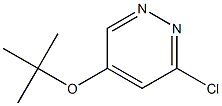 5-tert-butoxy-3-chloropyridazine CAS#: 1346698-35-8