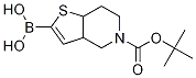 5-(tert-butoxycarbonyl)-3a,4,5,6,7,7a-hexahydrothieno[3,2-c]pyridin-2-ylboronic acid CAS#: 1078151-34-4