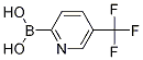5-(trifluoromethyl)pyridin-2-ylboronic acid CAS#: 1162257-58-0