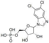 5,6-dichloro-1-ribofuranosylbenzimidazole 5'-monophosphate CAS#: 72586-79-9