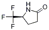 (5S)-5-(trifluoroMethyl)-2-Pyrrolidinone CAS#: 1287211-10-2