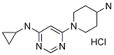 [6-(4-AMino-piperidin-1-yl)-pyriMidin-4-yl]-cyclopropyl-aMine hydrochloride, 98+% C12H19N5, 分子量 269.78 CAS#: 1185317-86-5