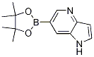 6-(4,4,5,5-TETRAMETHYL-1,3,2-DIOXABOROLAN-2-YL)-1H-PYRROLO[3,2-B]PYRIDINE CAS#: 1045855-91-1