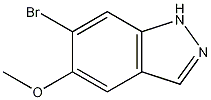 6-Bromo-5-methoxy-1H-indazole CAS#: 1206800-17-0