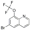 6-Bromo-8-trifluoromethoxyquinoline CAS#: 1280786-71-1