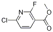 6-CHLORO-2-FLUORO-NICOTINIC ACID METHYL ESTER CAS#: 1093880-34-2