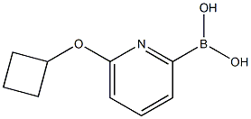 6-(CYCLOBUTOXY)PYRIDINE-2-BORONIC ACID CAS#: 1310404-90-0