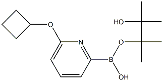 6-(CYCLOBUTOXY)PYRIDINE-2-BORONIC ACID PINACOL ESTER CAS#: 1310404-15-9