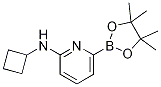 6-(CYCLOBUTYLAMINO)PYRIDINE-2-BORONIC ACID PINACOL ESTER CAS#: 1315350-34-5