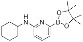 6-(CYCLOHEXYLAMINO)PYRIDINE-2-BORONIC ACID PINACOL ESTER CAS#: 1315350-19-6