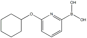 6-(CYCLOHEXYLOXY)PYRIDINE-2-BORONIC ACID CAS#: 1310404-16-0