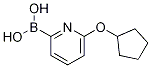 6-(CYCLOPENTOXY)PYRIDINE-2-BORONIC ACID CAS#: 1310404-91-1