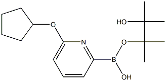 6-(CYCLOPENTOXY)PYRIDINE-2-BORONIC ACID PINACOL ESTER CAS#: 1193245-09-8