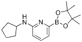 6-(CYCLOPENTYLAMINO)PYRIDINE-2-BORONIC ACID PINACOL ESTER CAS#: 1310404-92-2