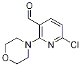 6-Chloro-2-Morpholinonicotinaldehyde CAS#: 1355247-67-4