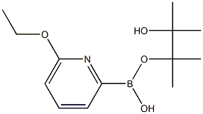 6-ETHOXYPYRIDINE-2-BORONIC ACID PINACOL ESTER CAS#: 1310385-03-5
