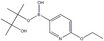 6-ETHOXYPYRIDINE-3-BORONIC ACID, PINACOL ESTER CAS#: 1072945-01-7