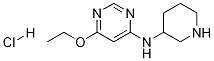 (6-Ethoxy-pyriMidin-4-yl)-piperidin-3-yl-aMine hydrochloride CAS#: 1353984-36-7