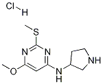 (6-Methoxy-2-Methylsulfanyl-pyriMidin-4-yl)-pyrrolidin-3-yl-aMine hydrochloride CAS#: 1353985-32-6