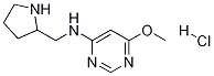 (6-Methoxy-pyriMidin-4-yl)-pyrrolidin-2-ylMethyl-aMine hydrochloride CAS#: 1353980-10-5