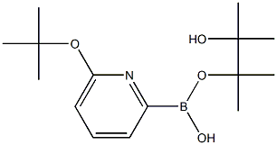 6-(TERT-BUTOXY)PYRIDINE-2-BORONIC ACID PINACOL ESTER CAS#: 1310404-55-7