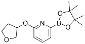 6-(TETRAHYDRO-FURAN-3-YLOXY)PYRIDINE-2-BORONIC ACID PINACOL ESTER CAS#: 1315351-11-1