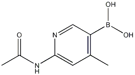 6-acetamido-4-methylpyridine-3-boronic acid CAS#: 1111637-72-9