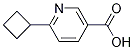 6-cyclobutylnicotinic acid CAS#: 1228112-80-8