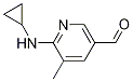 6-(cyclopropylaMino)-5-Methylnicotinaldehyde CAS#: 1355175-44-8