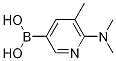 6-(diMethylaMino)-5-Methylpyridin-3-ylboronic acid CAS#: 1223527-80-7