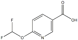 6-(difluoroMethoxy)nicotinic acid CAS#: 1211535-62-4