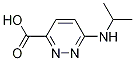 6-(isopropylaMino)pyridazine-3-carboxylic acid CAS#: 1183803-85-1