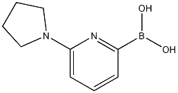 6-pyrrolidin-1-yl- pyridineboronic acid CAS#: 1150114-75-2