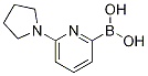 (6-(pyrrolidin-1-yl)pyridin-2-yl)boronic acid CAS#: 1310404-18-2