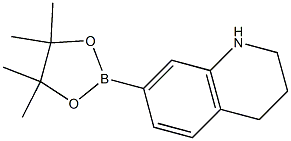 7-(4,4,5,5-Tetramethyl-1,3,2-dioxaborolan-2-yl)-1,2,3,4-tetrahydroquinoline CAS#: 1235142-07-0