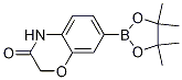 7-(4,4,5,5-tetramethyl-1,3,2-dioxaborolan-2-yl)-2H-benzo[b][1,4]oxazin-3(4H)-one CAS#: 1219130-57-0