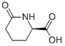 D-6-OXO-PIPECOLINIC ACID CAS#: 72002-30-3