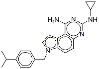 7H-Pyrrolo[3,2-f]quinazoline-1,3-diaMine, N3-cyclopropyl-7-[[4-(1-Methylethyl)phenyl]Methyl]-, (Hydrochloride) (1:2) CAS#: 1216720-69-2