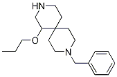 9-benzyl-1-propoxy-3,9-diazaspiro[5.5]undecane CAS#: 1082204-14-5